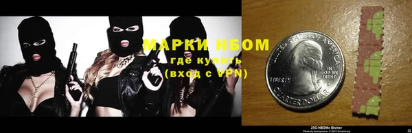 прущие грибы Бородино