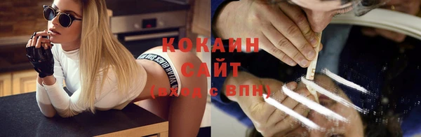 spice Богородск