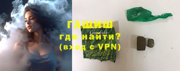 прущие грибы Бородино