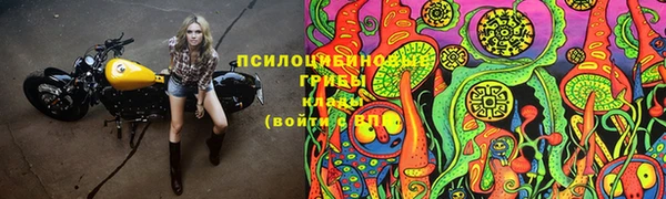мяу мяу мука Беломорск