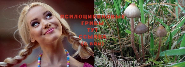 герыч Богородицк