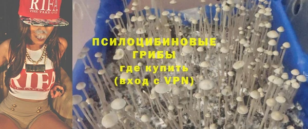 прущие грибы Бородино