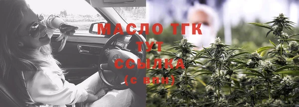 прущие грибы Бородино