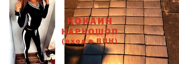 spice Богородск