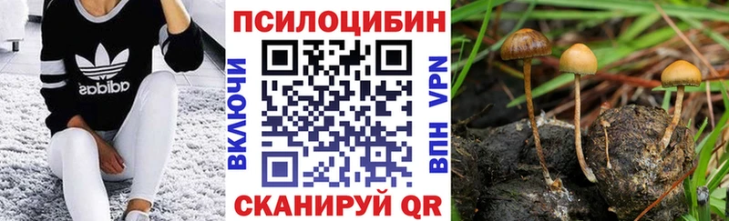 Псилоцибиновые грибы GOLDEN TEACHER  как найти наркотики  Облучье 